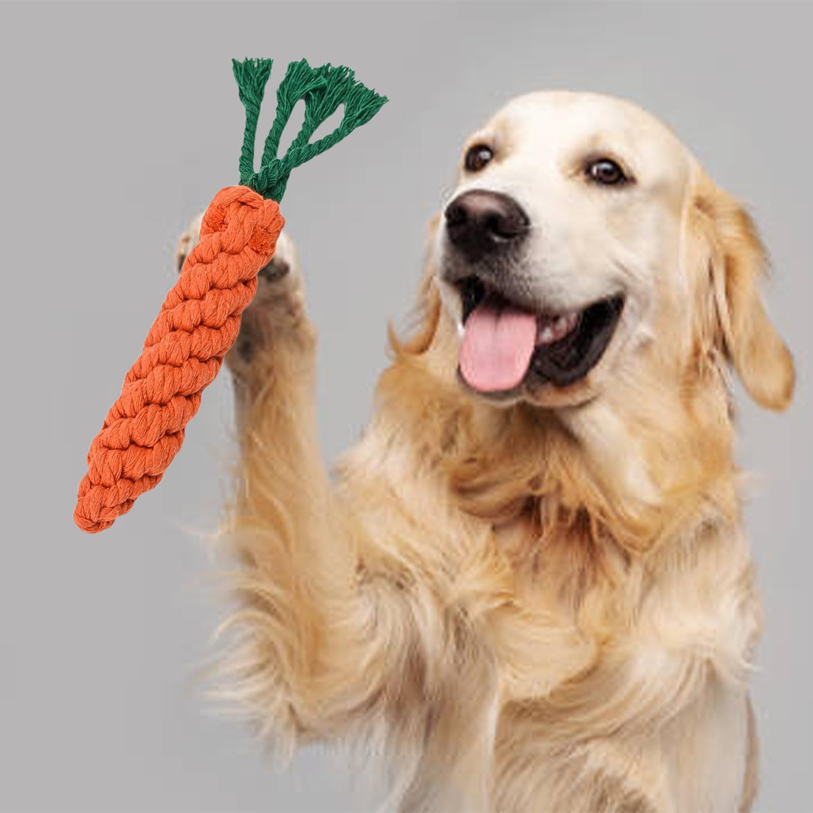 Carrot Dog Toys Puppy Teething Toys Dog Rope Toys Teething Toys for Puppies Cat Chew Toys Safe Braided Rabbit Toys Healthy Gift 3 PCS,Carrot Toy - Image 4