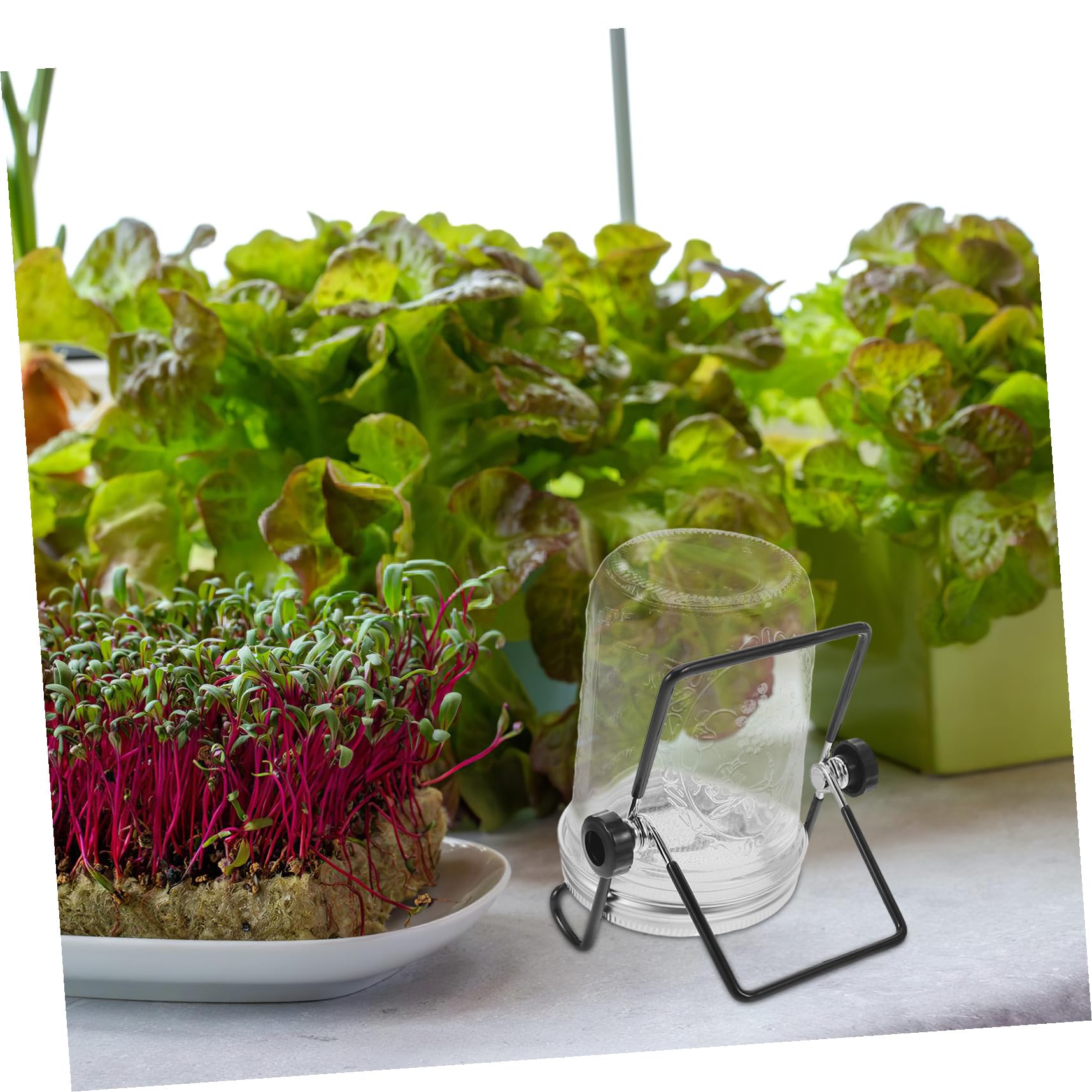 BESTonZON 2ensembles Kit De Germination avec Couvercles Passoire Et Support pour Micro-pousses Bocal De Germination