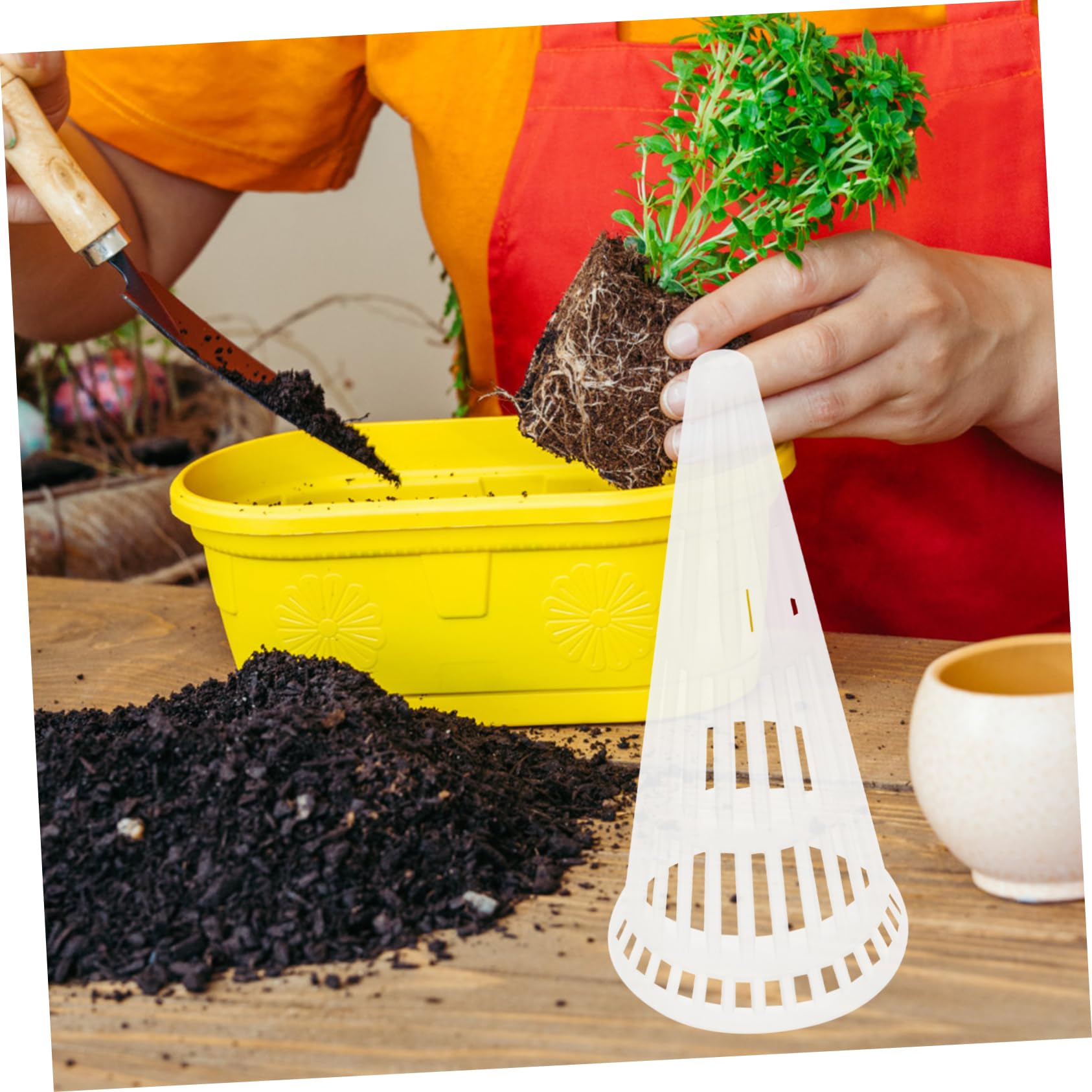 Holibanna 5Pcs Transparent Plant Nursery Pots Hollow Sprout Cultivation Baskets for Hydroponic Growing System for Home Gardening and Flower Cultivation Durable Net Cups