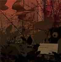 トクマルシューゴPORTENTORY/Night Pieceレコード二枚組 YouTube