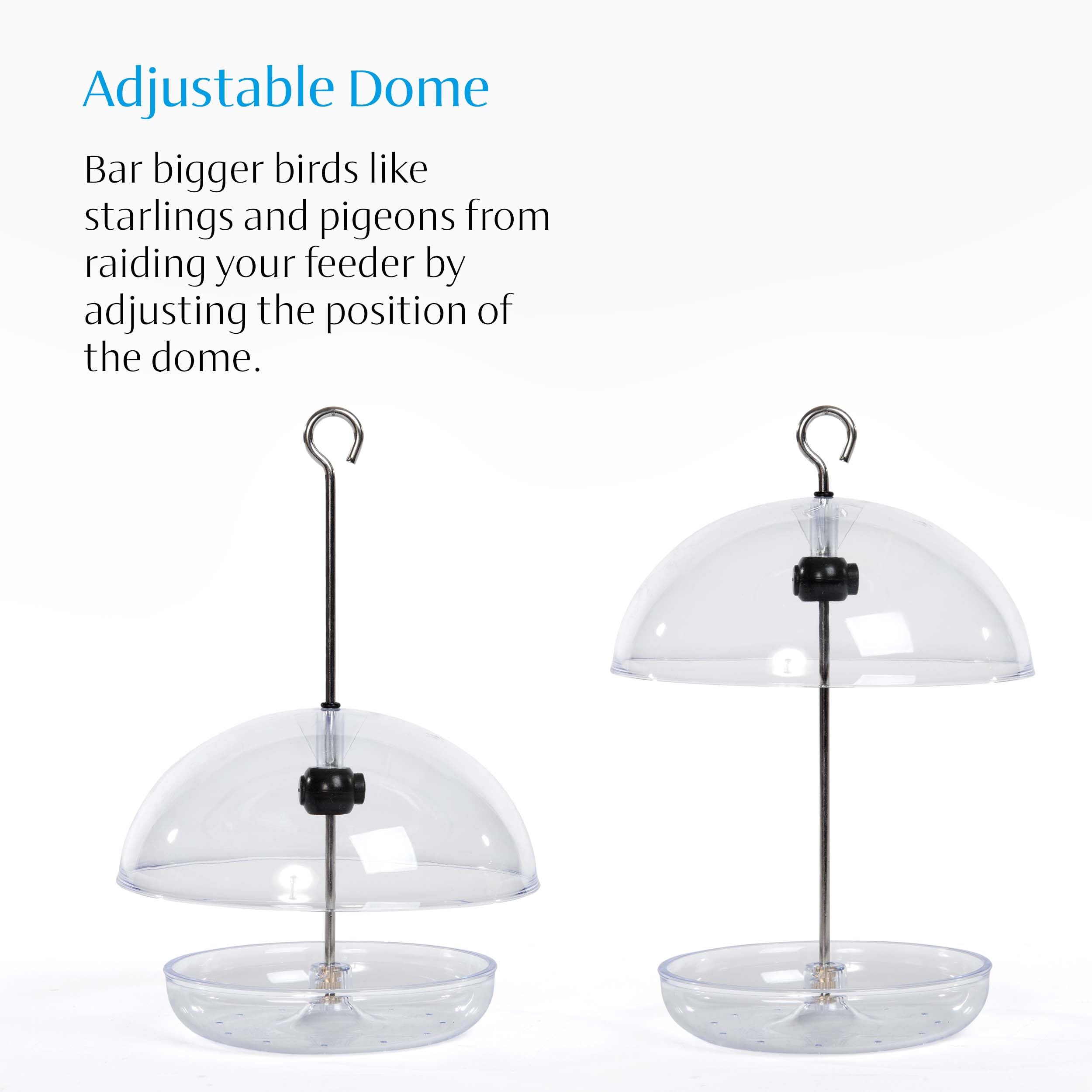 Bluebird Mealworm Feeder - Jacobi Jayne® Pearl Feeder Mini™ - Domed Small Bluebird Feeder - Live Mealworm Feeder Hanging for Outdoors and Backyards - Additional View