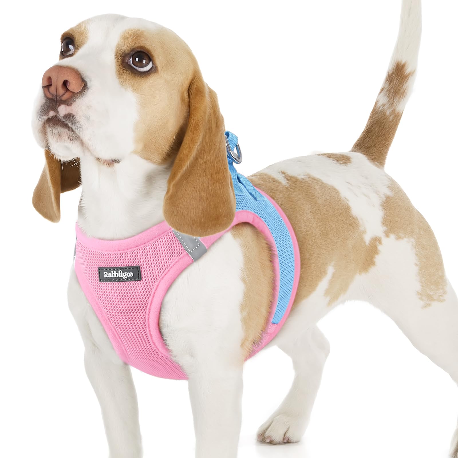 rabbitgoo Dog Harness Small Dog, Step-in Soft Mesh Puppy Harness with Reflective Strips, Lightweight Breathable Pet Vest for Walking Training, Blue & Light Pink, M
