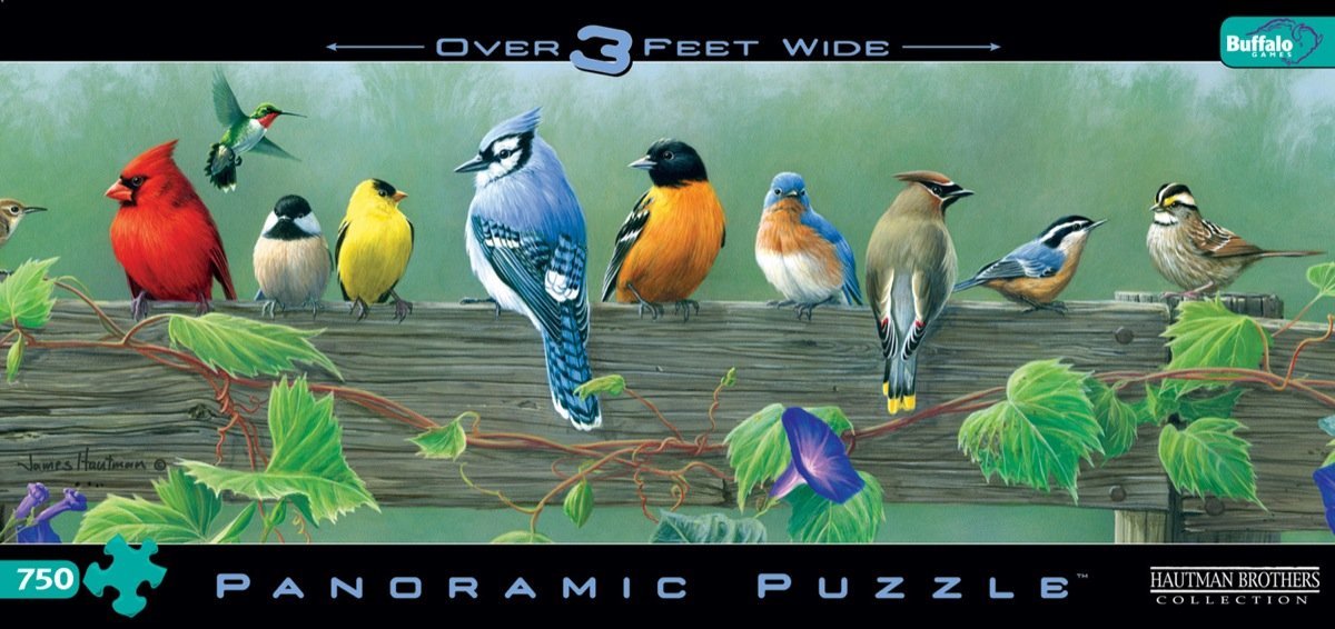Buffalo Games Hautman Brothers, Songbirds Panoramic - 750pc Jigsaw Puzzle