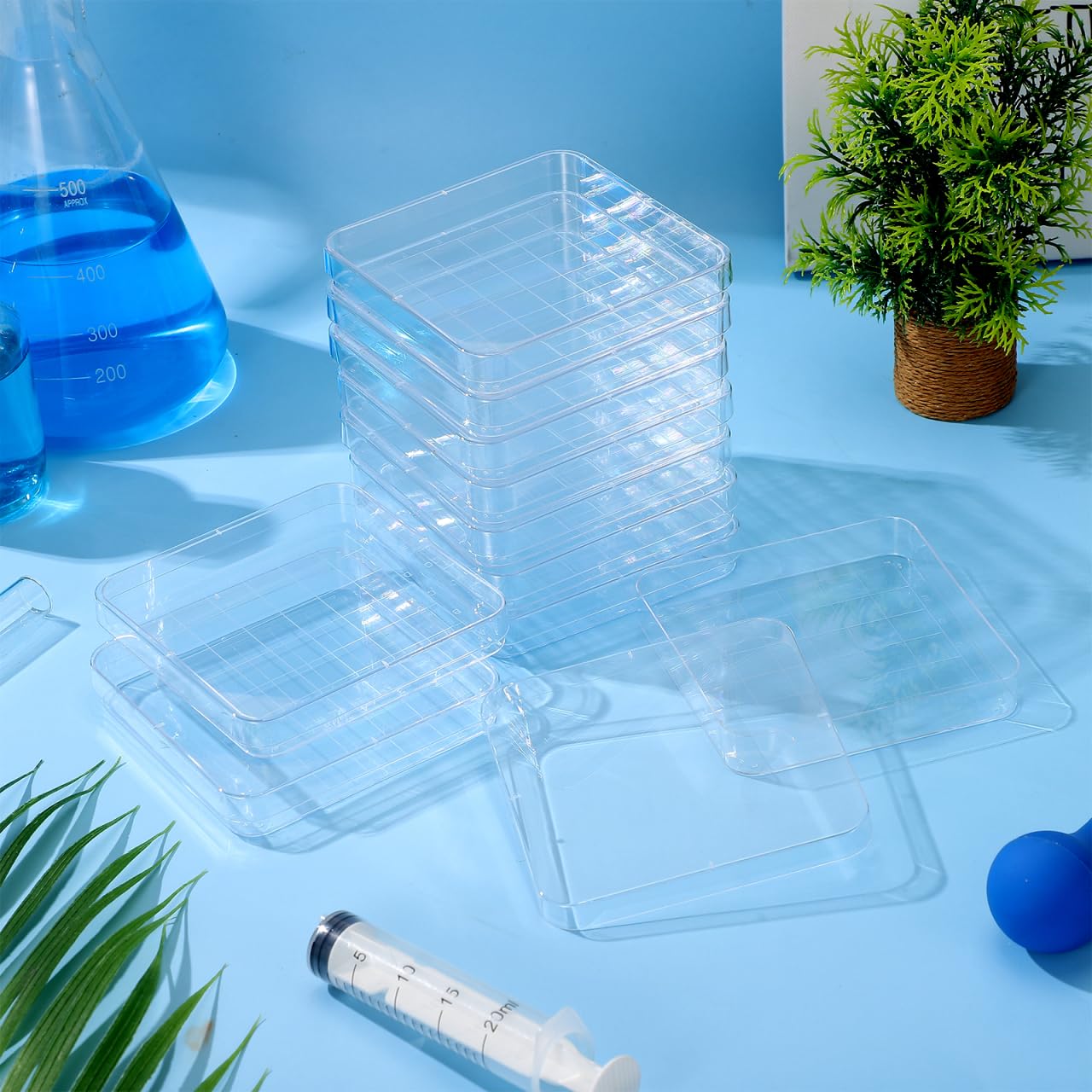 MAGICLULU 10 pièces Boîtes Pétri Carrées avec Couvercle Boîtes Pétri Transparentes pour Microbiologie Recherche Botanique Projets Scolaires et Laboratoire Scientifique