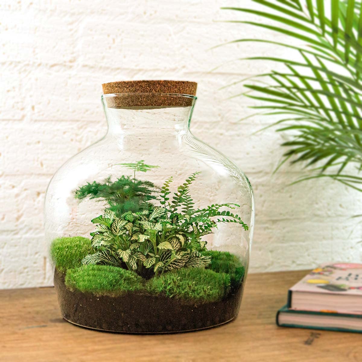 urbanjngl - Fat Joe Terrarium Grün - DIY Kit mit Licht - Pflanzene kosystem - Ø 29 cm, Höhe 30 cm - Ideal für Pflanzenliebhaber und kreative Dekoration