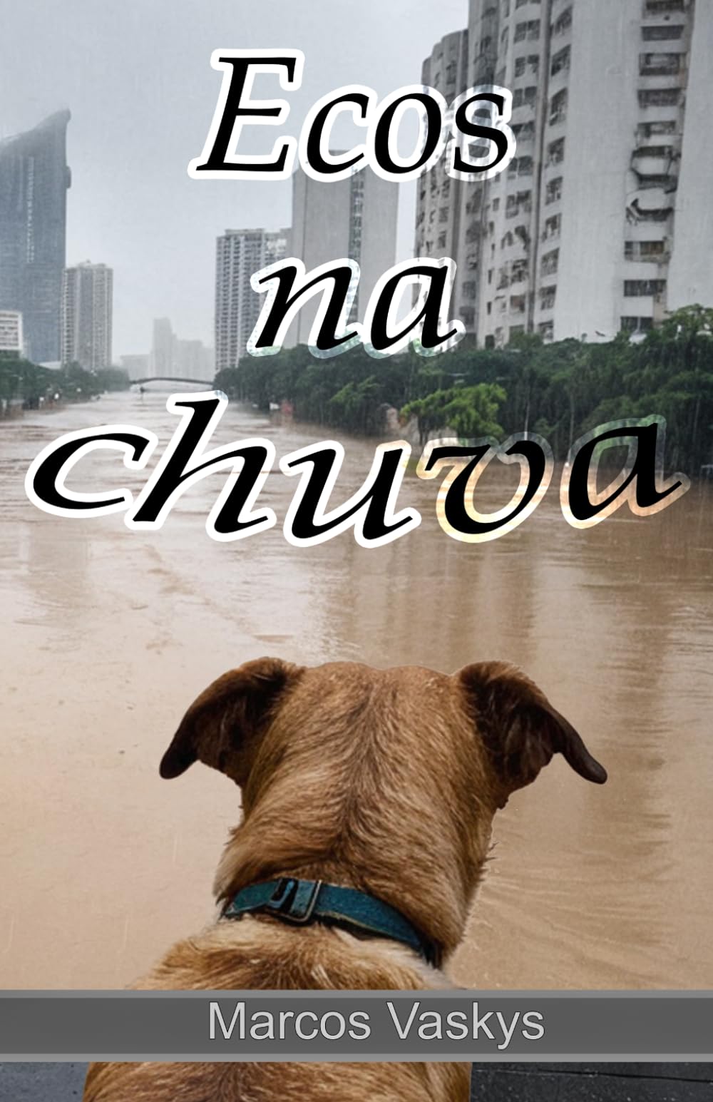 Ecos na Chuva
