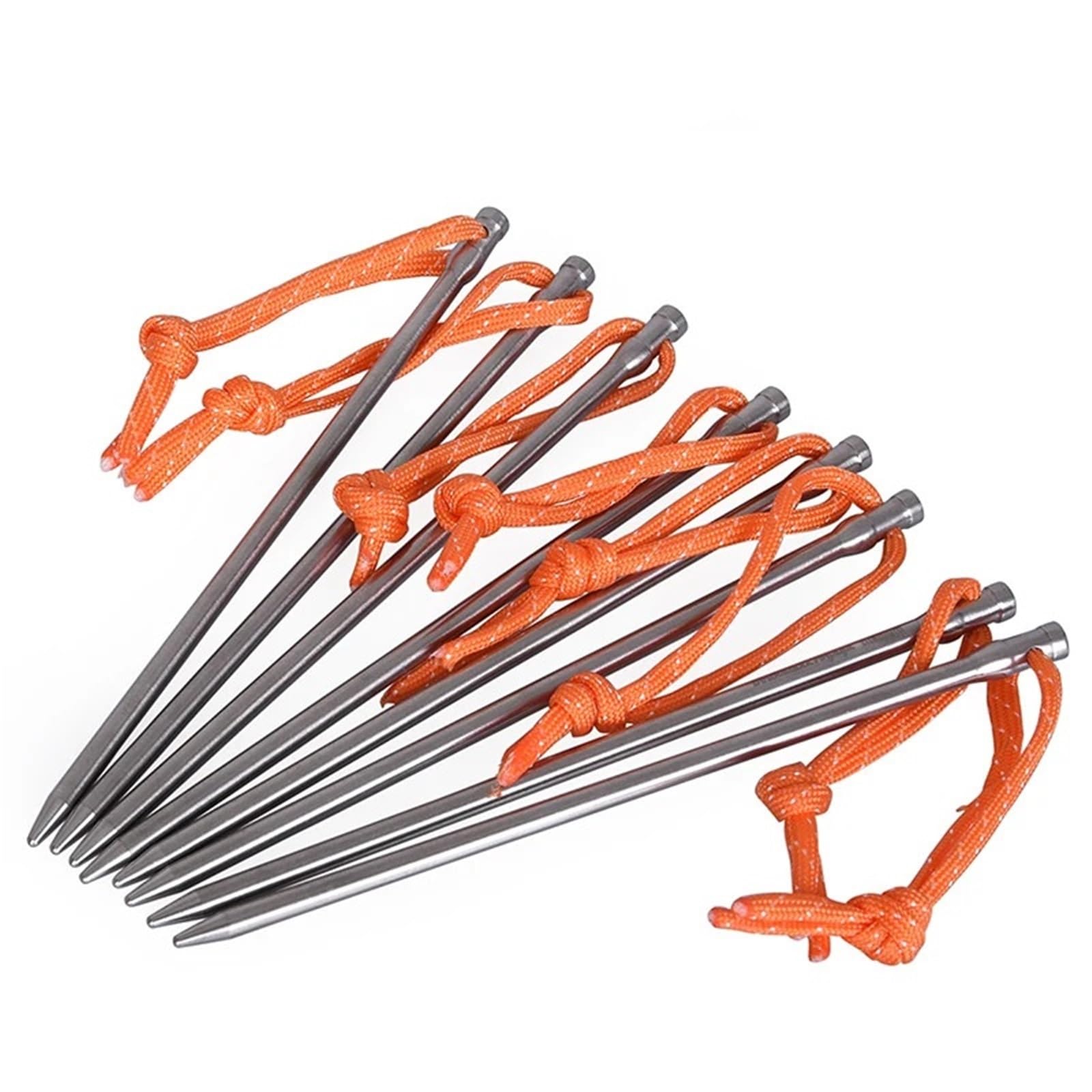 Piquets en Titane Robustes, 10 pièces, Accessoires de Tente Camping Plein air, piquets, Clous pour Le Camping, Les Voyages