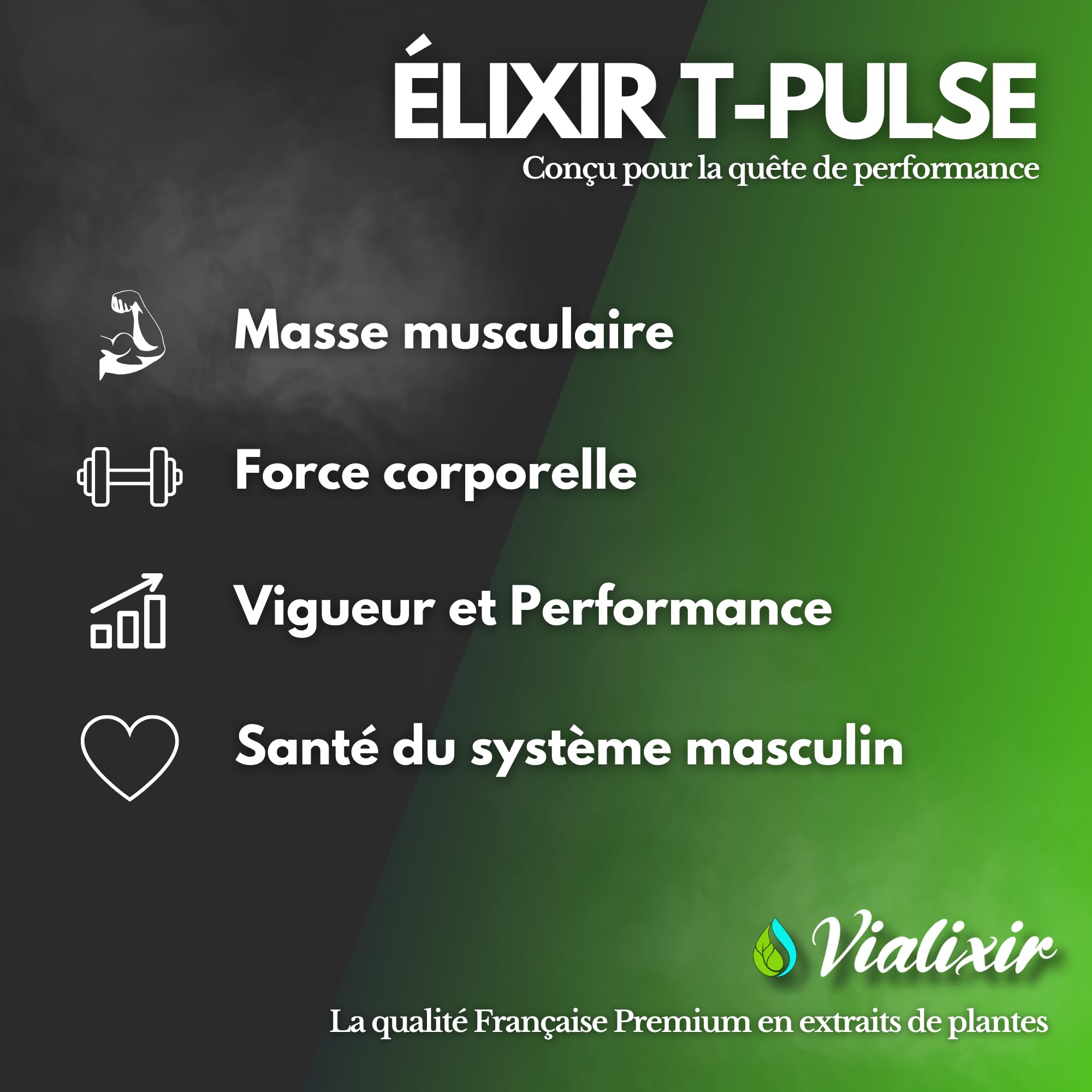 Formule Homme 60 gélules Performance Masculine Circulation Sanguine Endurance Energie avec Tribulus Maca Ginseng Ashwagandha Qualité Française Vialixir