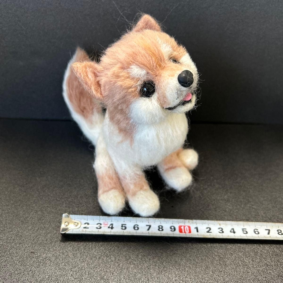 羊毛フェルトサロン帰りのポメラニアン