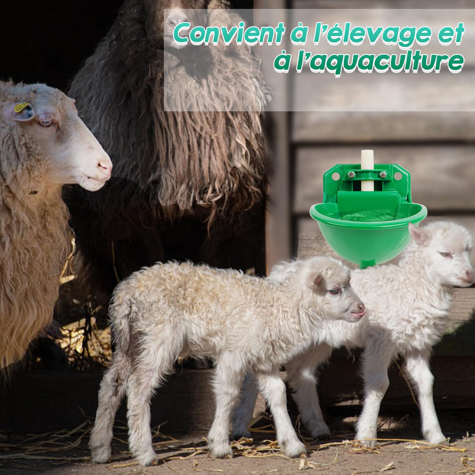 Abreuvoir Automatique Pour Moutons, Abreuvoir Pour BéTail Avec Trou de Drainage, Abreuvoir Automatique Pour Moutons, ChèVres, Chevaux, Abreuvoir Automatique Pour Bétail (2pcs)