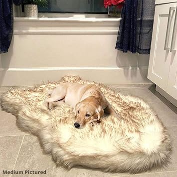 iHappyDog ?Luxury? Memory Foam Dog Bed ?for? Small and Medium Pets - Orthopedic, Extra Soft, Waterproof ?with? Washable Faux Fur Cover (Small/Medium, Bone White) (Small/40? L x 25? W)