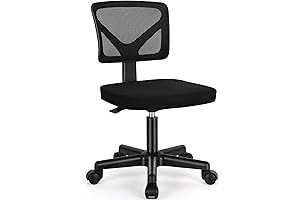 Supportive and Refreshing Ergonomic Desk Chair