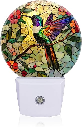 Lámpara de luces LED de noche con sensor de anochecer a amanecer, colorido colibrí encaramado en la rama, luz nocturna enchufable a la pared para disponible en Yaxa Costa Rica