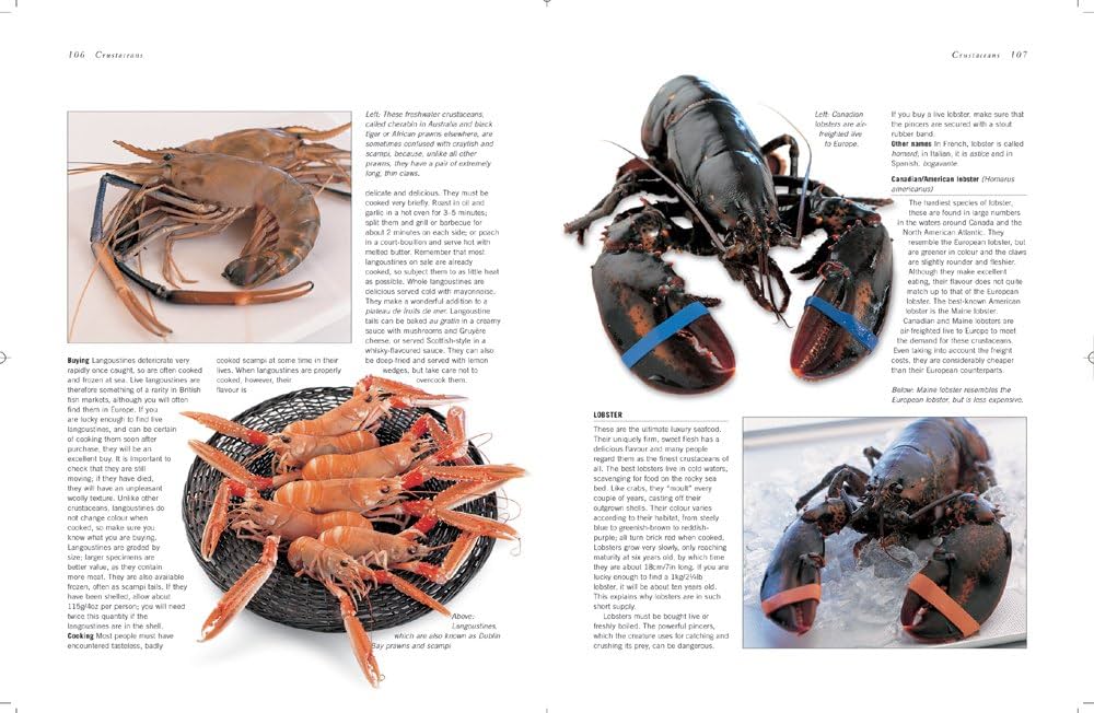 The World Encyclopedia of Fish and Shellfish: The definitive