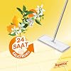 Asperox Daylight Perfumed Surface Cleaner 2.5 L