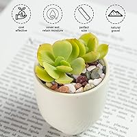 Vista 5 de ZENFUN Piedras de 6 libras para plantas de interior, grava de guisantes de 3/8 pulgadas para pecera, rocas decorativas pulidas para suculentas