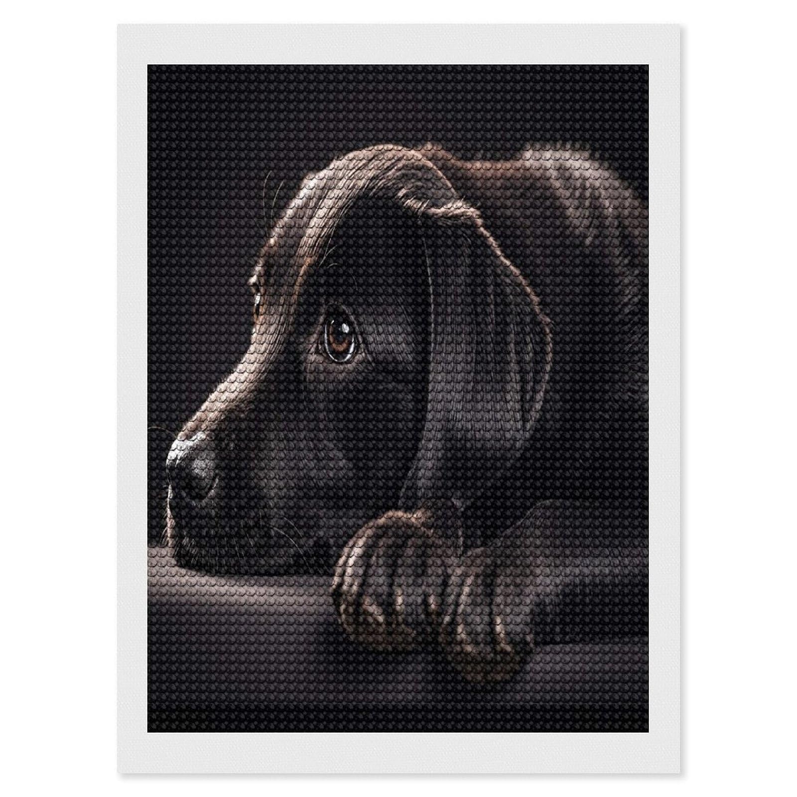 FekiLoot Black Labrador Puppy Diamond Painting Kits for Beginners DIY Diamond Art Kits for Adults Full Drill Round Diamond Dot Gem Art Painting Fun DIY Crafts for Home Kitchen Wall Decor Gift 12"x16"