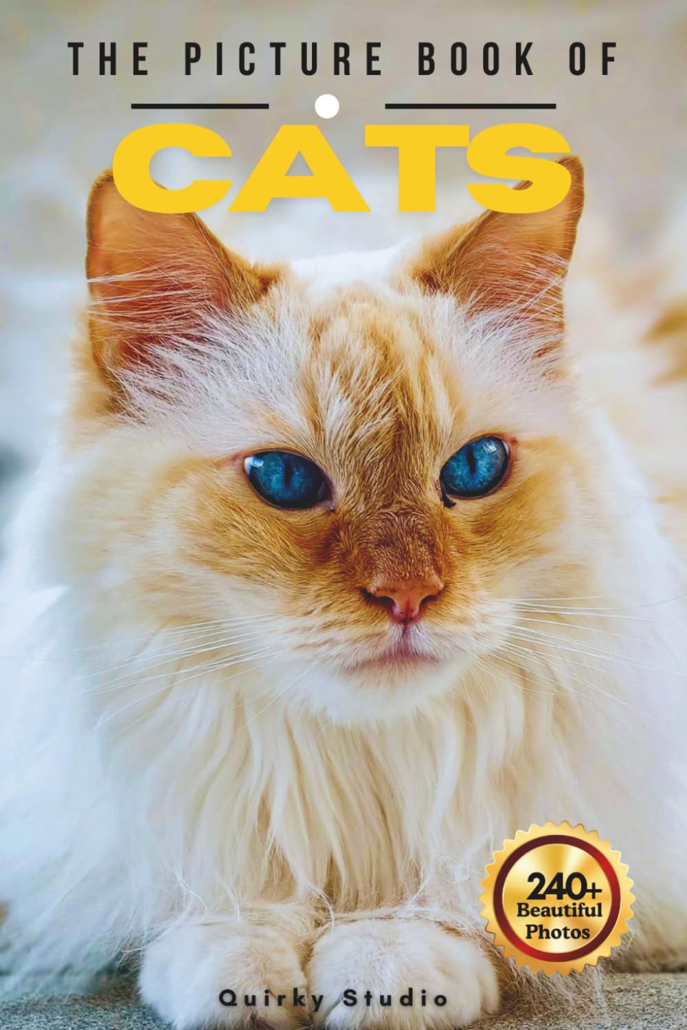 The Picture Book of Cats: A Beautiful Collection of Lovely Cats in Photos for Seniors with Dementia, Alzheimer’s, and Cat Lovers (Full Color)
