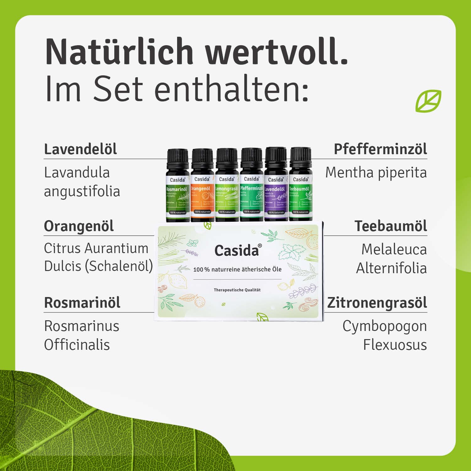 Casida Ätherische Öle Set – 100% naturreine, ätherische Öle - für Aromatherapie Aroma Diffuser, Luftbefeuchter, Hautpflege, Massage - 6x 10ml