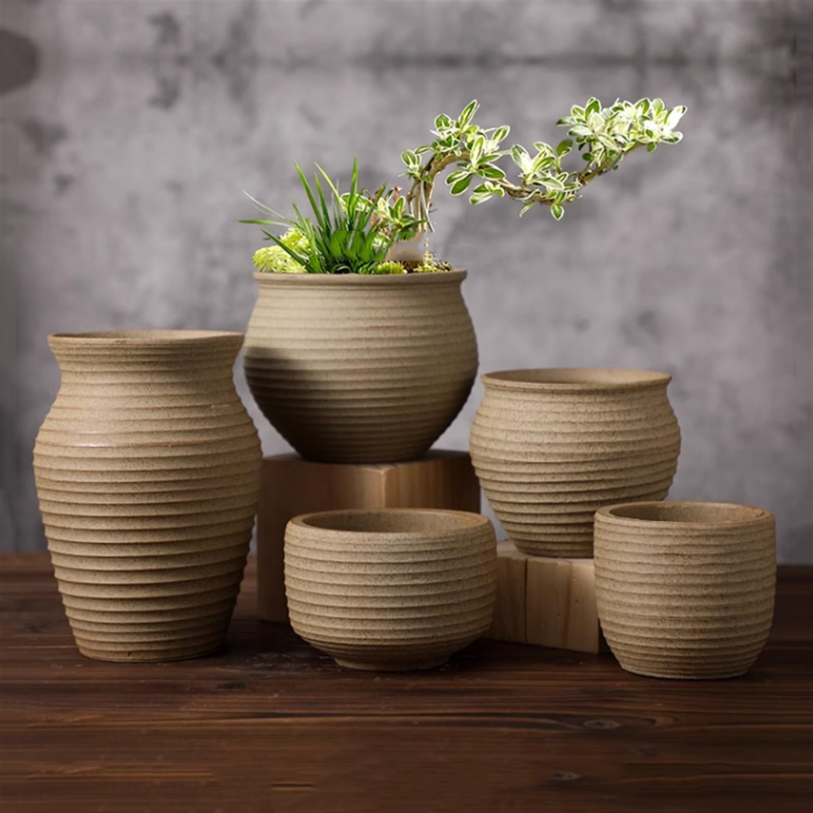 Doniczki Doniczka ceramiczna Duże zabytkowe szerokie usta talia ceramiczne słoiki doniczki z spiralnym wzorem dom ogród biuro doniczka