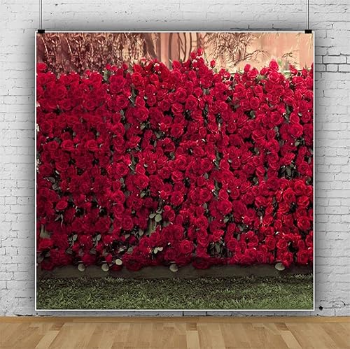 Miniatura 4 de AOFOTO Fondo de fondo de rosas románticas de 10 x 10 pies, fondo de fotografía de boda, jardín, flores, amantes, pareja, novia, novia, retrato de