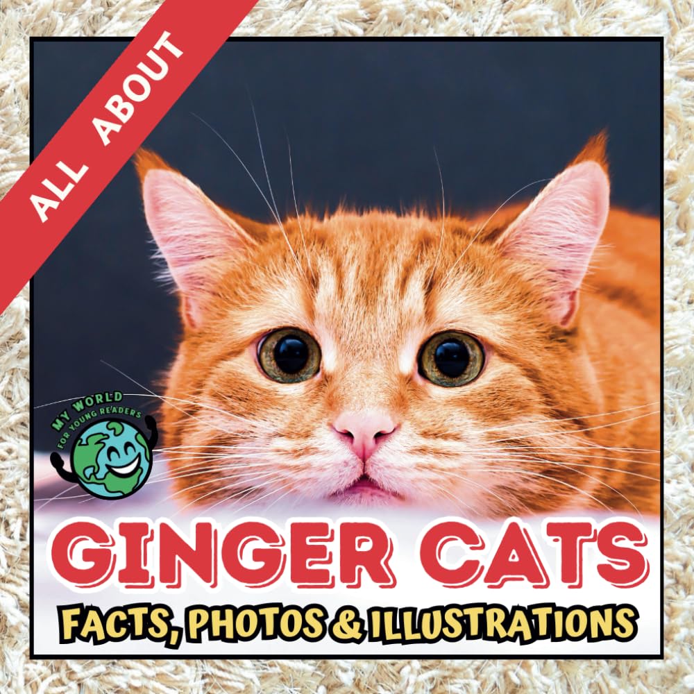 All about Ginger Cats | Facts, Photos and Illustrations: A Picture Book for Kids and Toddlers | Screen-Free Infotainment (MY WORLD for YOUNG READERS)