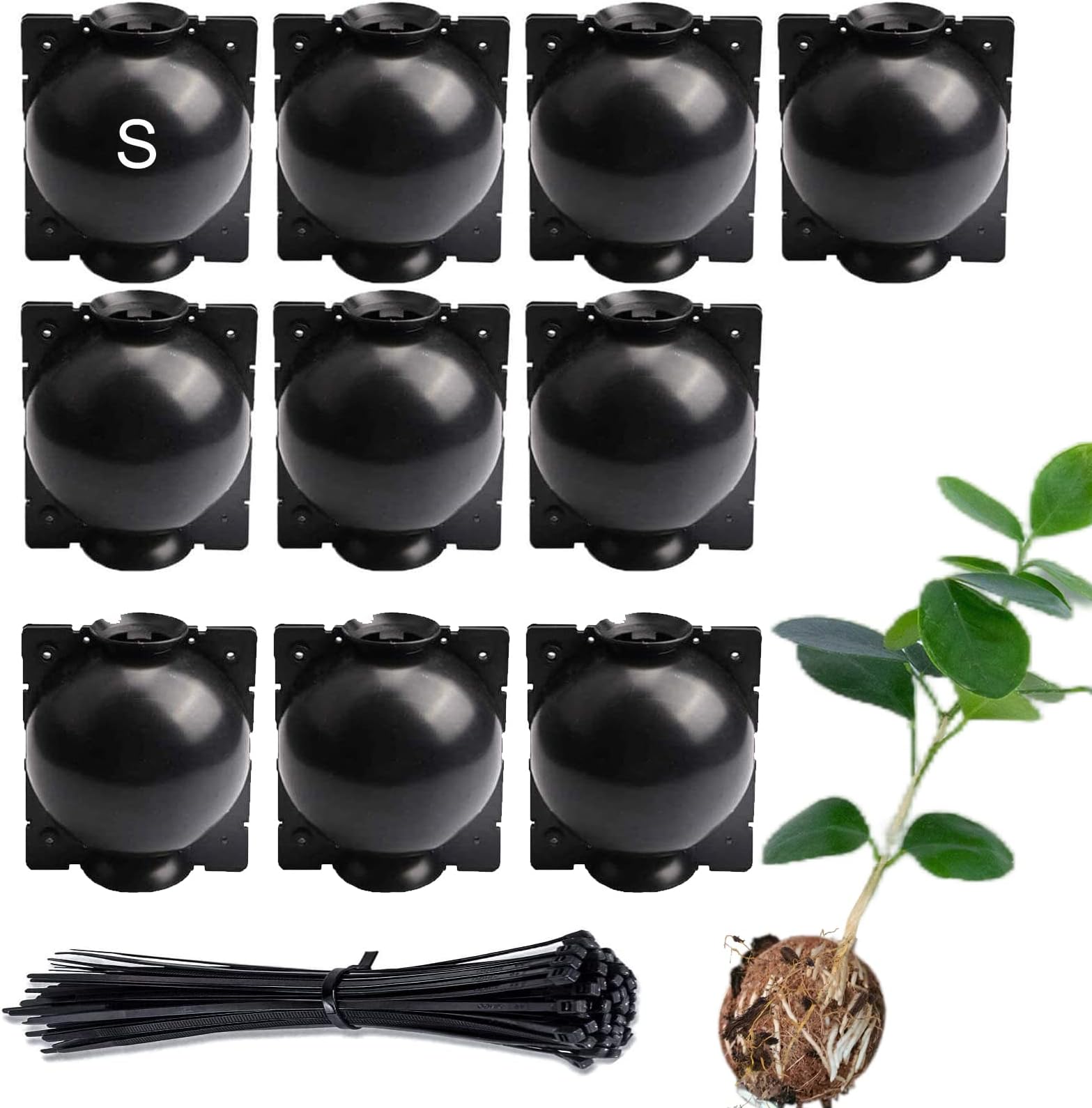 Tree Root Growing Box,10 Pack Rooting Ball Grafting Tools,Sprouts Growing Kit Reusable High Pressure Tree Rooter Air Plant Layering Propagation Pot Rooting Device for Plant Cutting Seedings