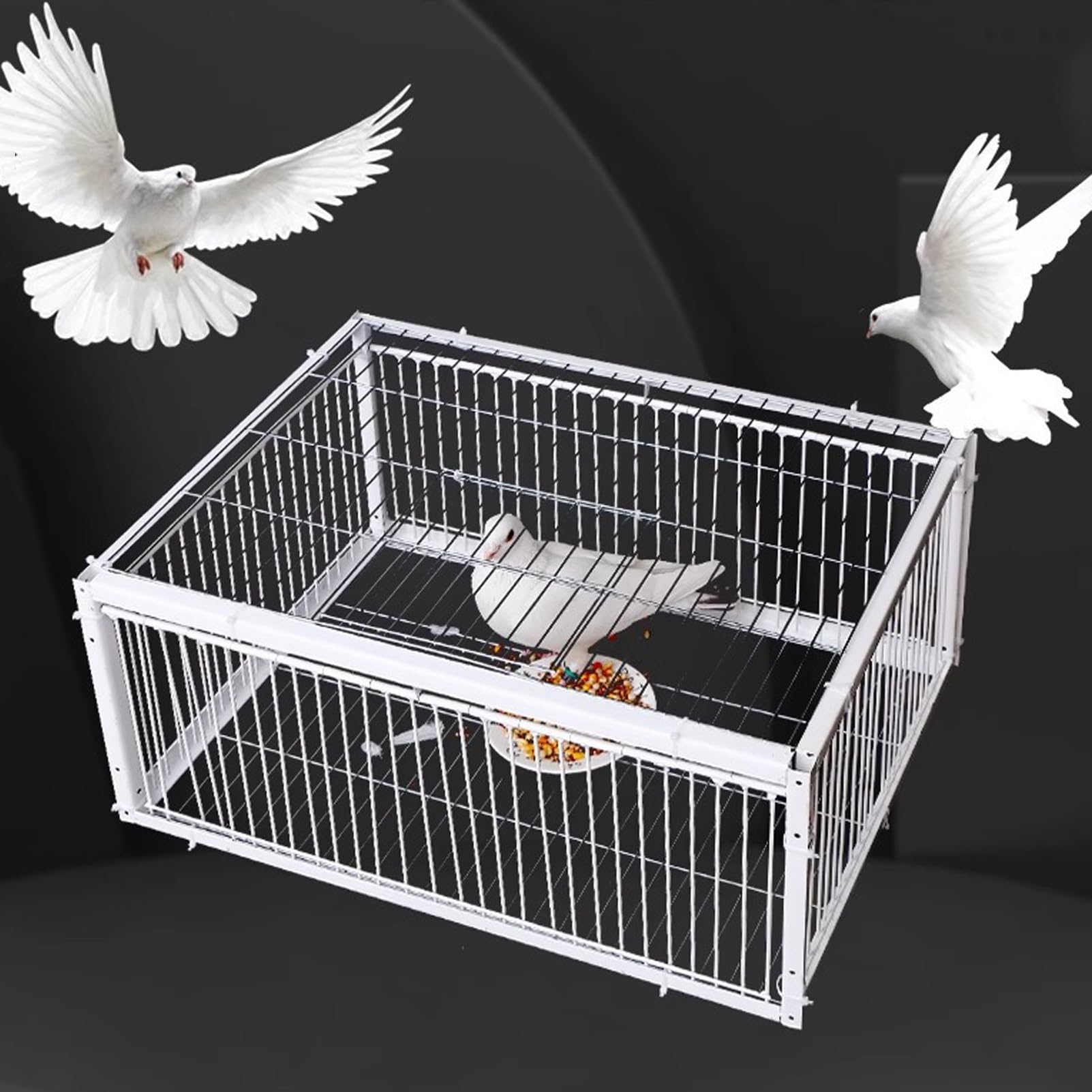 Jaula trampa para pollos y pájaros, jaula humana para animales vivos con puerta de entrada unidireccional, trampa para palomas con control de metal con diseño a prueba de escape, fácil montaje ( Size