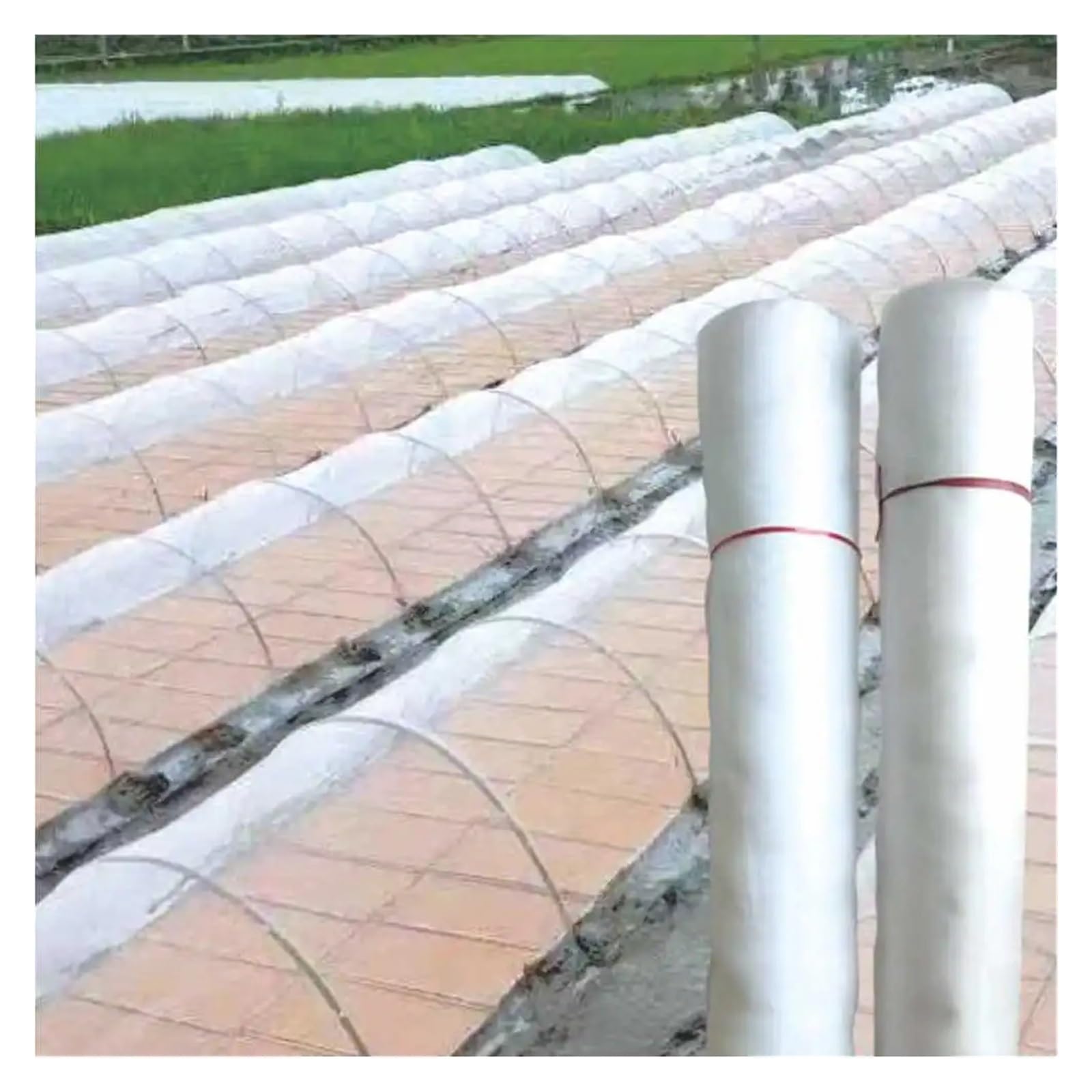 LYVQZPWLRRéseau anti-oiseau en nylon, Filet anti-insectes de jardin 80 mailles, filet de protection anti-oiseaux, couverture for plantes, fruits, légumes, fleurs, filet anti-brouillard, filet en nylon