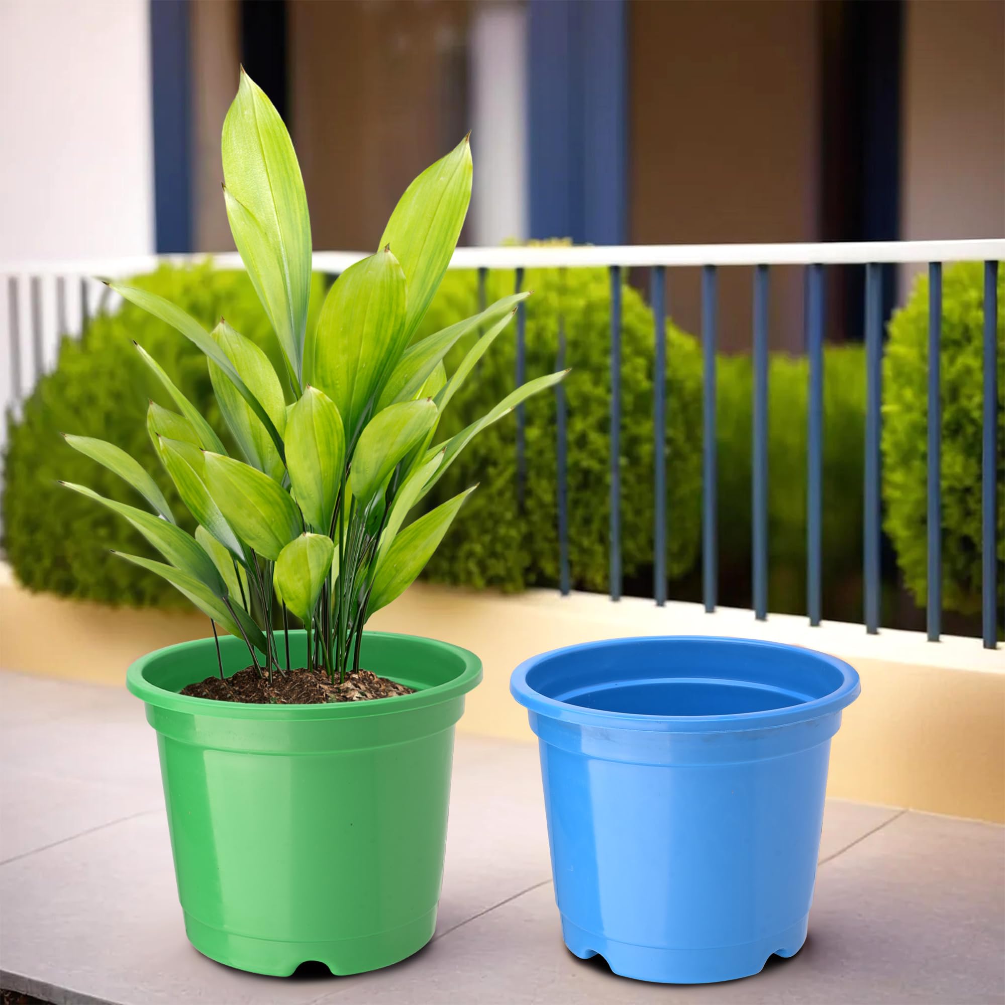 Kuber Industries (Pack of 2) Flower Pot | Fuldani Flower Pot (8 Inch) Pots for Home, Terrace, Garden | Plants Stand | Phooldaan for Home D?cor | Synergy Indoor Plant Stand | Green & Blue (B0D7VCLD7X) Amazon Price History, Amazon Price Tracker