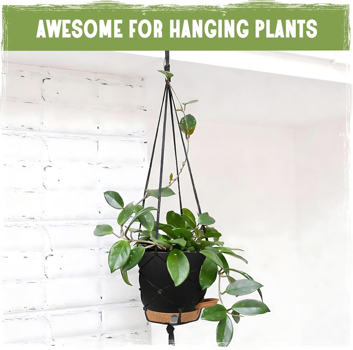 Self-Watering Pots for Indoor Plants 4 Pack, 6/8/10/12 Inch Outdoor Planters with Water Level Indicator&Deep Reservoir, Decorative Flower Pots for Indoor Plants,Home Decor (Black, 12+10+8+6 inch) - Image 8