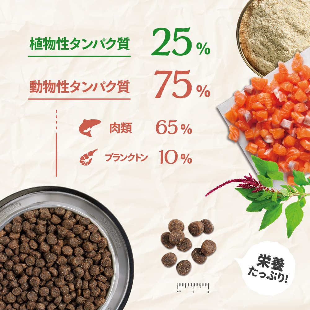 Amazon.co.jp: BELCANDO ベルカンド アダルトサーモングレインフリー