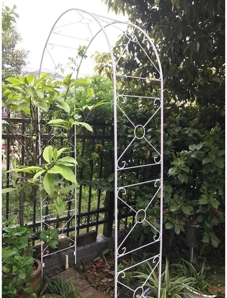 Garden Arbor Outdoor Climbing Plants Garden Arch Trellis, Rose Vines Pergola Arbor Frame Metal Archway for Decoration, Wedding Arch Backdrop Stand