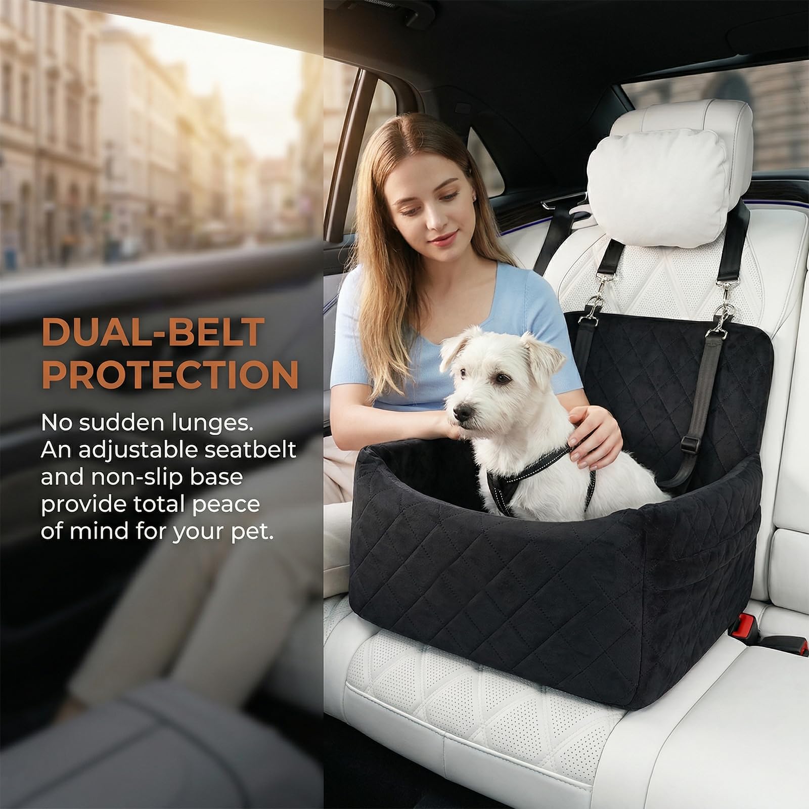 Asiento de coche para perros pequeños y medianos de menos de 15 kg, asiento para perros extraíble y lavable, con 2 cinturones de seguridad, asiento elevador para perros (negro)
