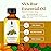 SVA Rue Essential Oil - 1 Fl Oz - 100% Natural Rue Oil - for Diffuser, Hair Care, Face, Skin Care, Aromatherapy, Scalp and Body Massage, Soap and Candle Making - with Dropper