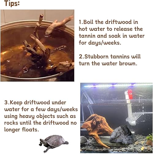 Miniatura 7 de Tfwadmx Ramas de madera natural para acuario, decoración de madera flotante, 2 piezas de 8.5-12 pulgadas, decoración de madera flotante, terrario