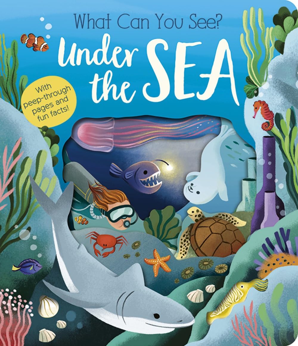 What Can You See? Under the Sea by Molly Littleboy, Mara Perera - 9781801045551