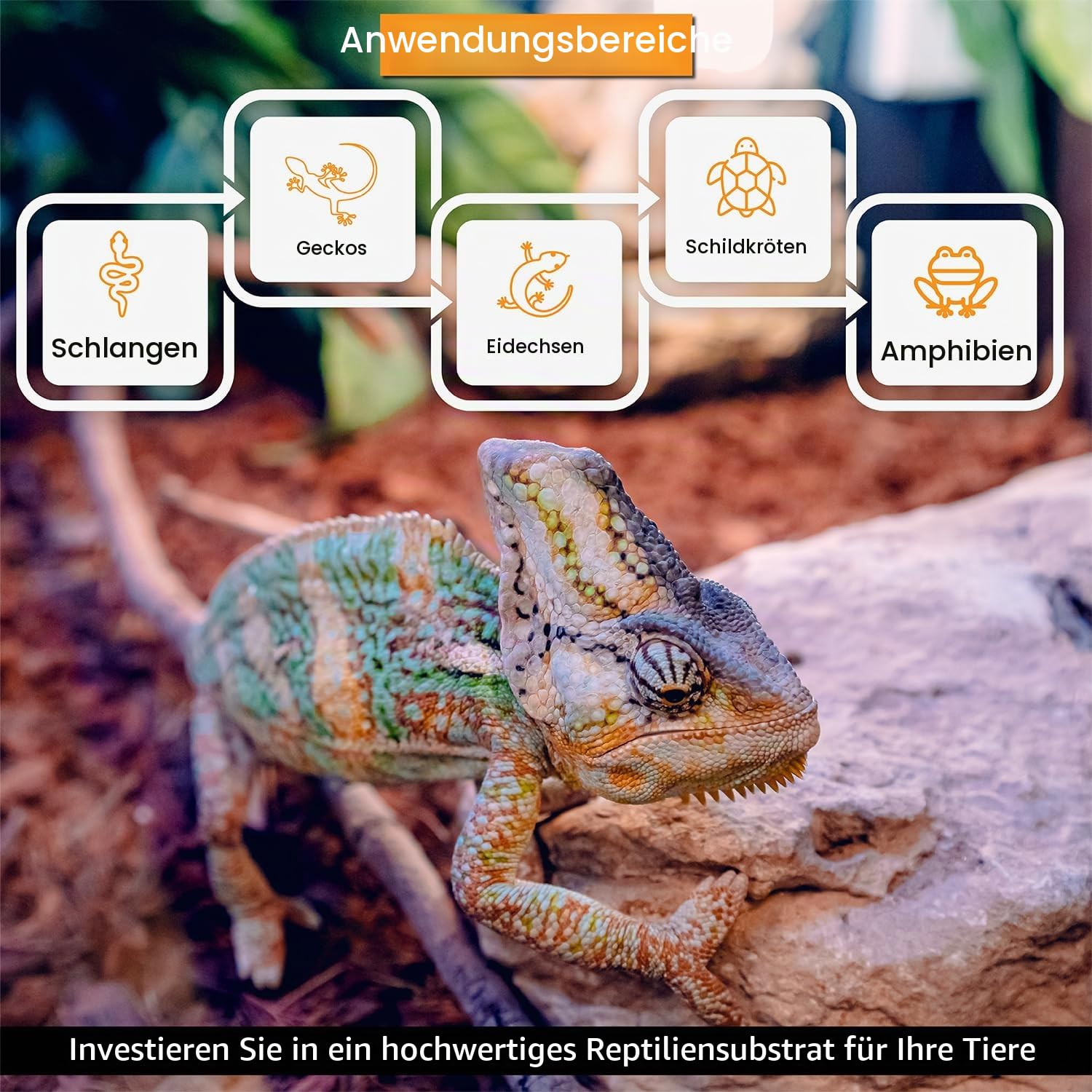 Reptichip Premium Kokossubstrat 72 Liter Bio-Reptiliensubstrat Das perfekte Reptilienbett für Ballpythons und Diese Kokosnuss-Bettwäsche ist perfekt für Amphibien!