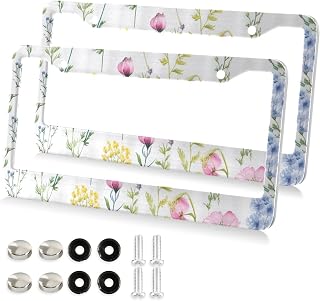 Kigai Cosmos Flower Plant License Plate Frames - 2 Pack Universal Stainless Steel License Plate Frame with Screws Included (2 Holes)