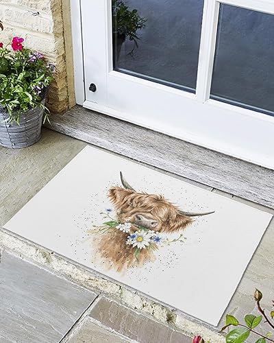 Tapete para puerta delantera, antideslizante, absorbente, para entrada, para interiores y exteriores, alfombras pequeñas de vaca de las tierras