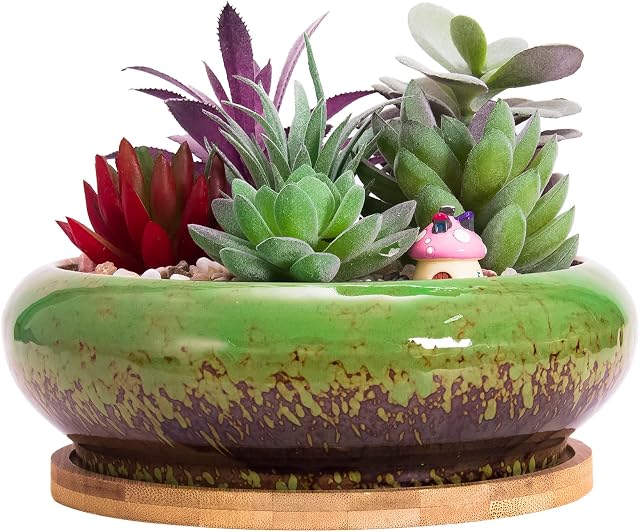 ARTKETTY Succulent Plant Pot, 15.5CM Large Bonsai Pot with Tray Ceramic Flower Pot with Drainage Hole Shallow Cactus Plant Pots for Indoor/Outdoor Plants Glazed Planter Bowl, Green