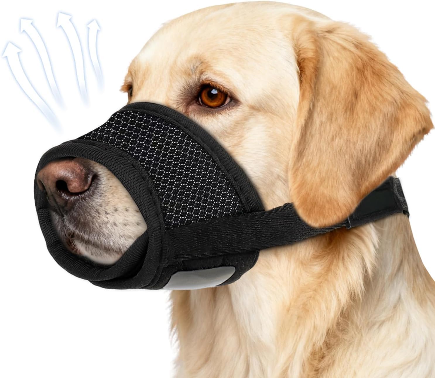 Bozal de Nylon Transpirable para Perros Pequeños y Mini - Malla Acolchada - Vista 3