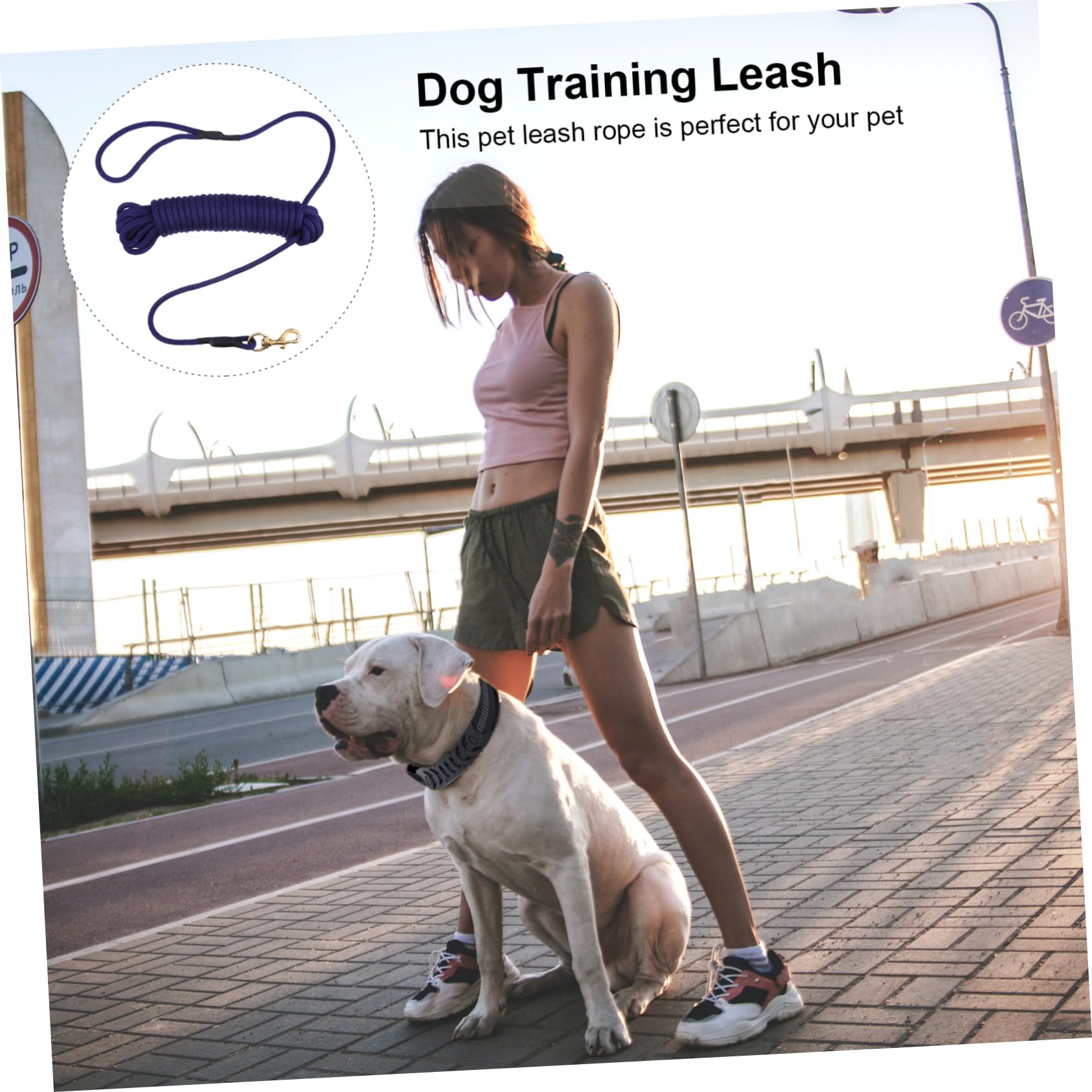 Guinzaglio lungo Addestramento per Cani, Blu, Polipropilene | Gancio, per Corsa e Outdoor, per Pet e Cani, Presa Robusta e Comfort, Facile da Fissare