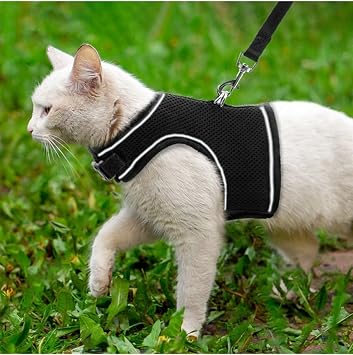 BYPET New Generation Breathable Cat Collar Set (Medium, Black) [Energy Class A+]