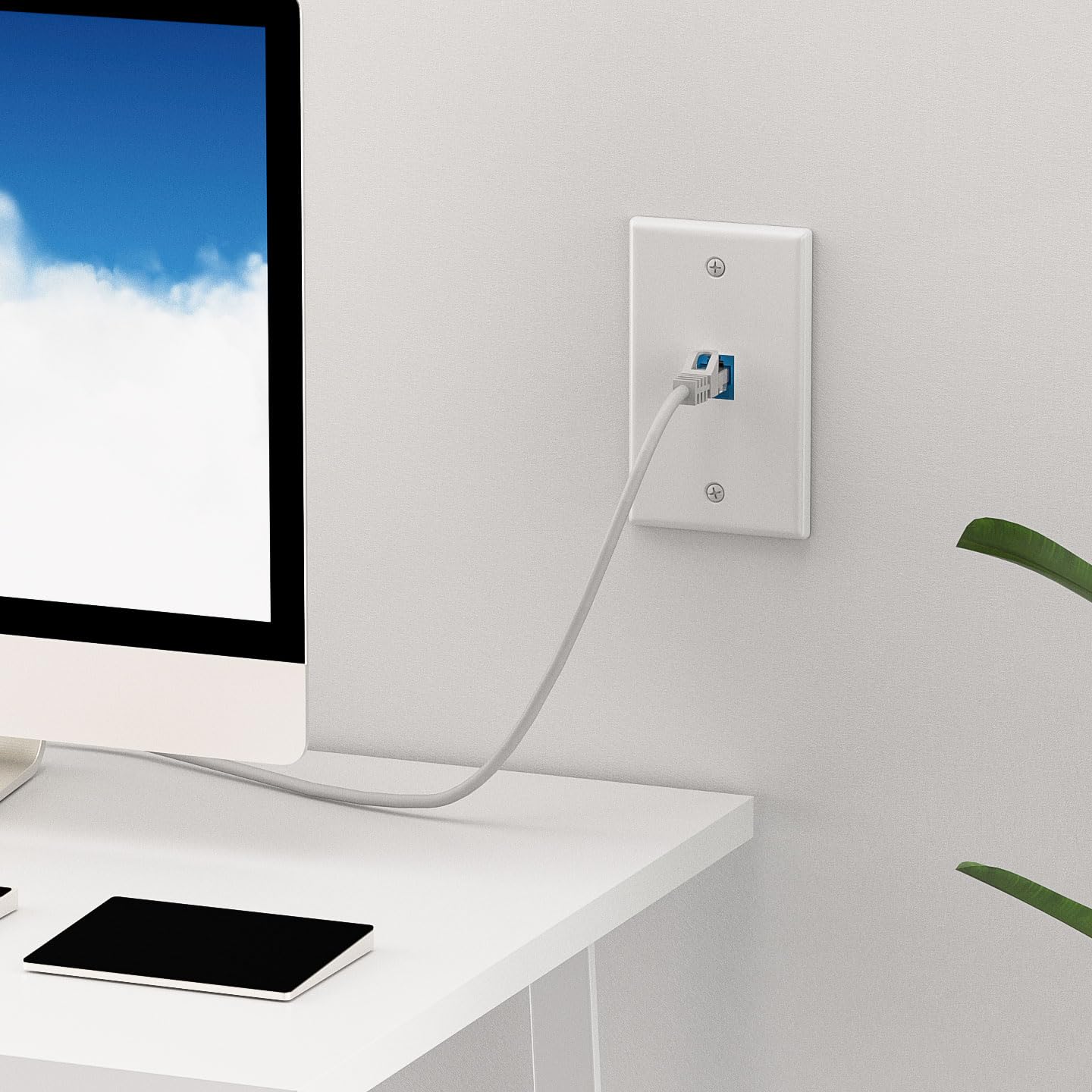 iwillink Lot de 10 plaques murales Ethernet, 1 port Keystone Jack avec coupleur RJ45 Keystone, plaque murale Cat6 femelle vers femelle, bleu