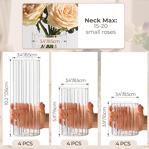 Miniatura 5 de ComSaf Paquete de 12 jarrones cilíndricos de vidrio, jarrones transparentes acanalados para centros de mesa, decoración de malas hierbas, jarrones