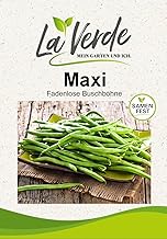 Bush Bean Maxi Bean Seeds