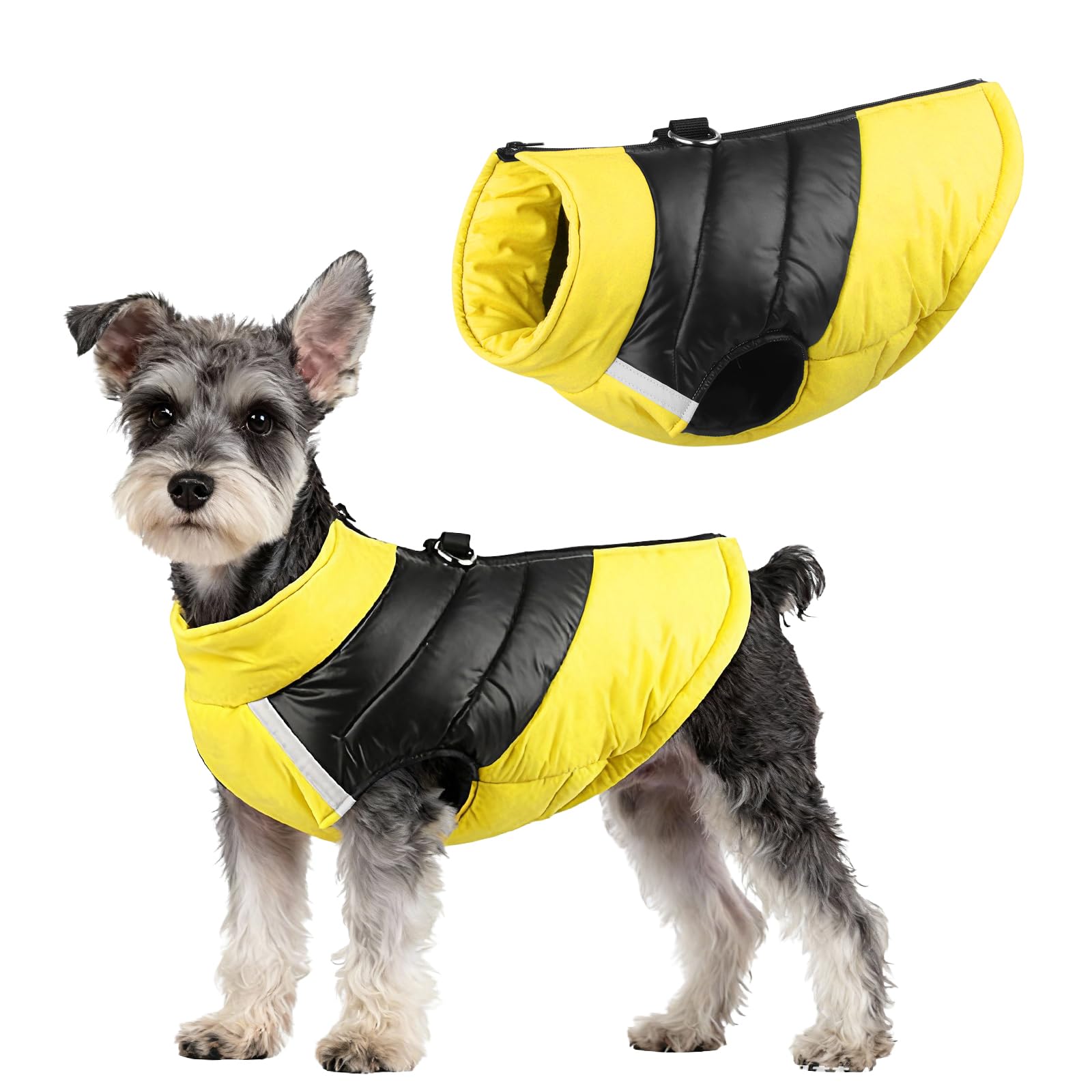 Veste pour chiens coupe-vent et imperméable avec double attache laisse