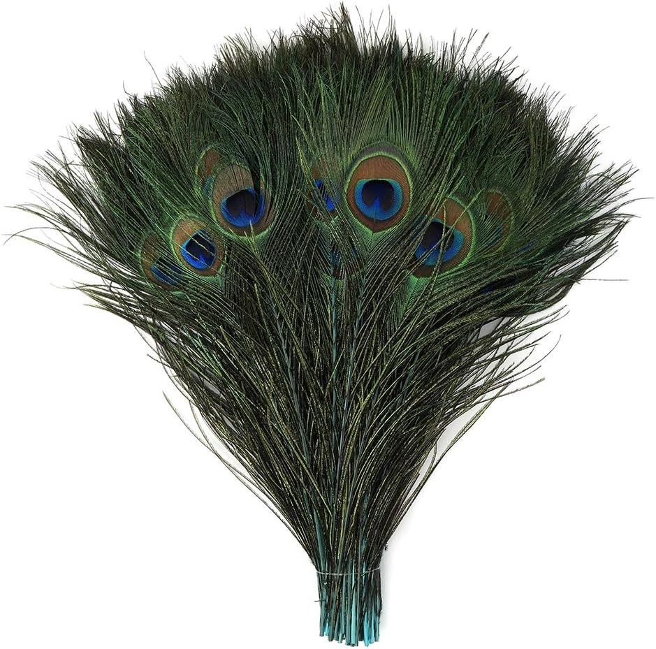 ZUCKER Kelly Stem Peacock Eye Feathers - 8-15" 100pc Wedding DIY Craft Home Decor