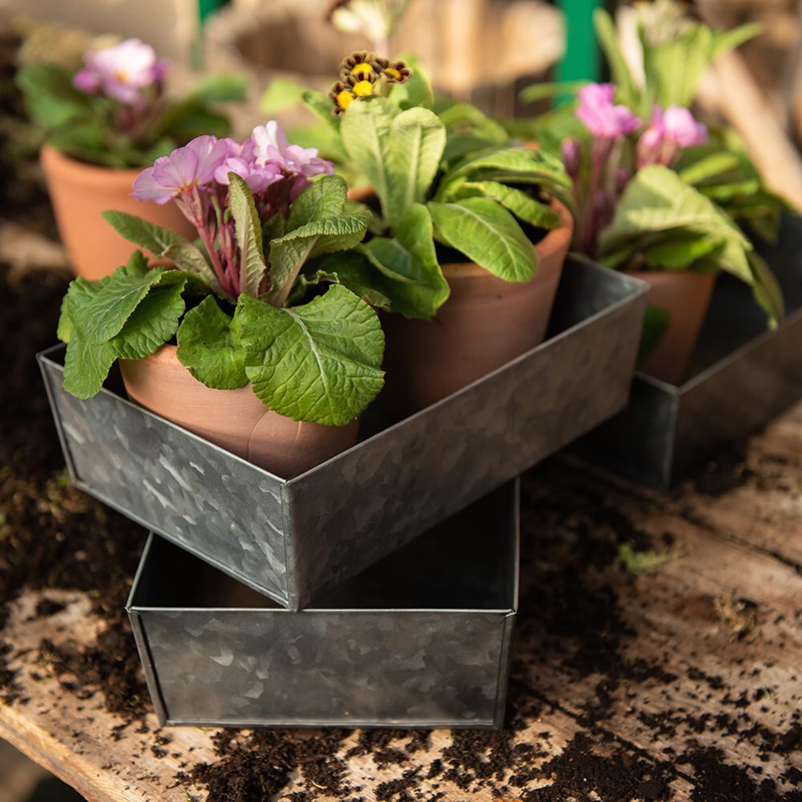 Crocus Silver Collection Set Of 3 Metal Grow Trays Galvanised Steel Planter Saucers Garden Plant Drip Tray Wide